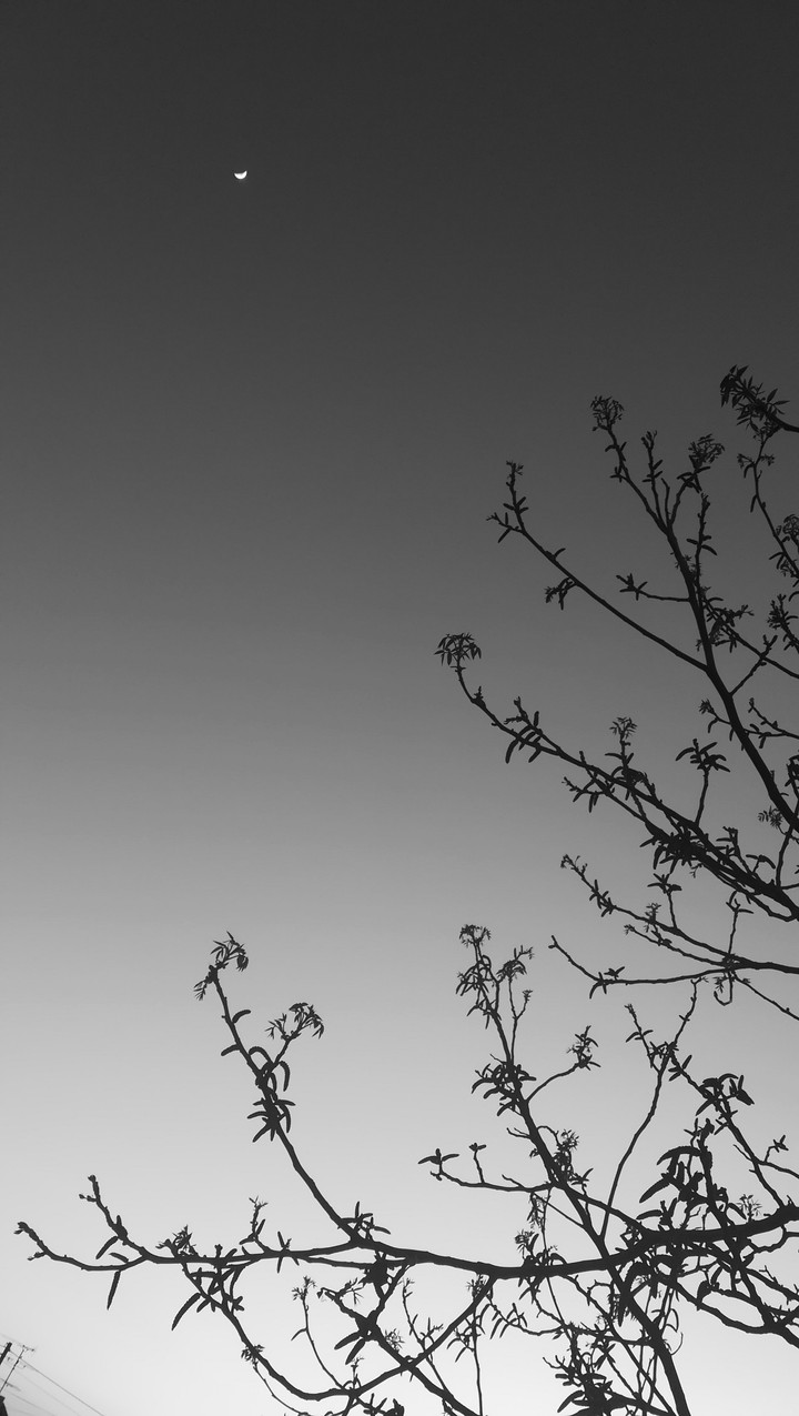 little moon