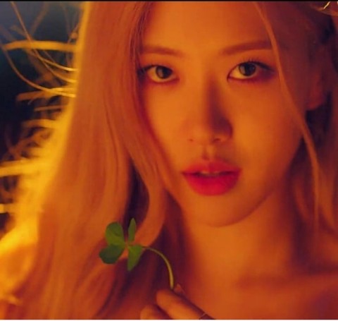 rosé blackpink