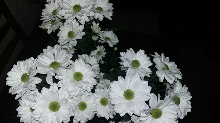 #flowers