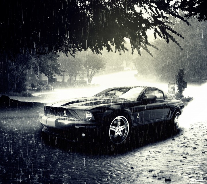 mustang