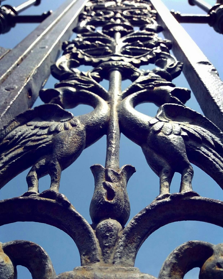 Finding dragons
