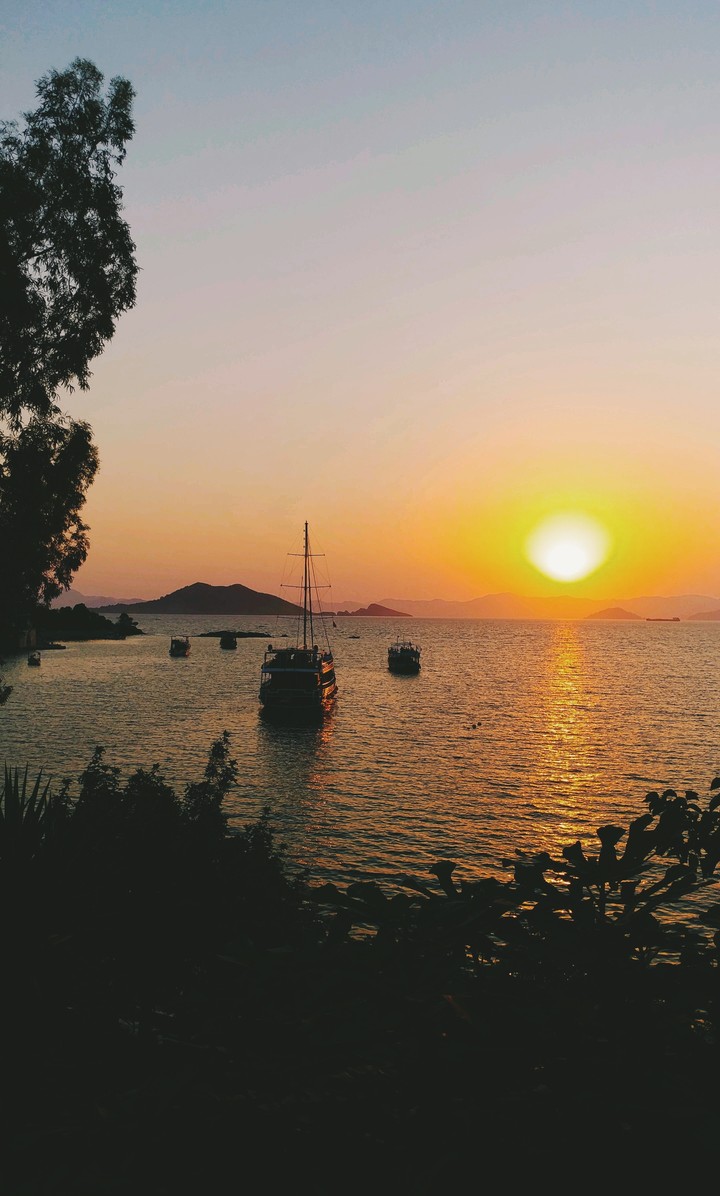 sunny world
