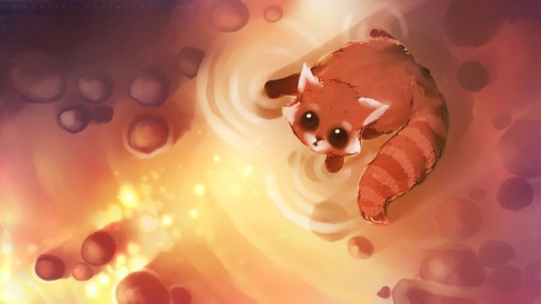 Raccoon ;3