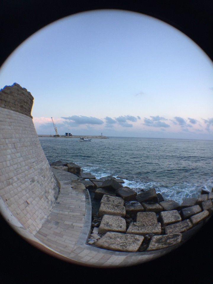 Monopoli