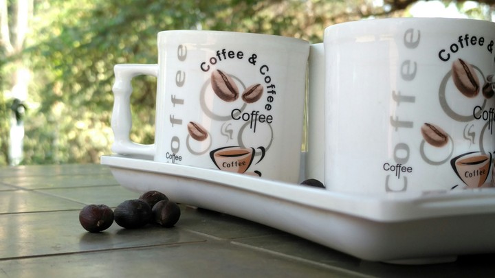 Coffee at Coorg