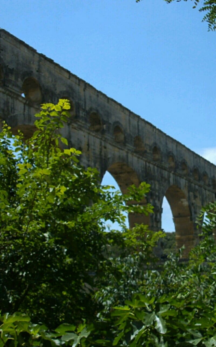 Bridge