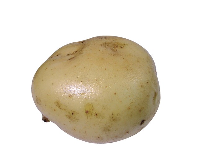 음식이미지
