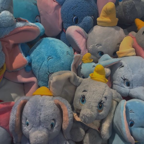 baby elephants