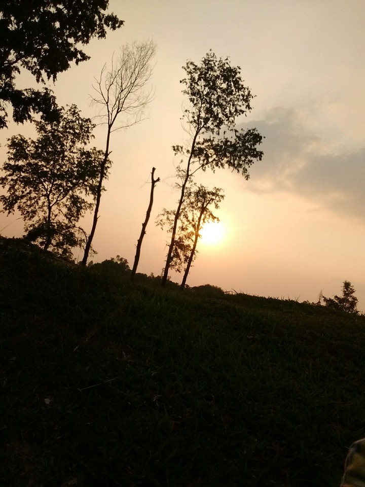 Beautiful Sunset