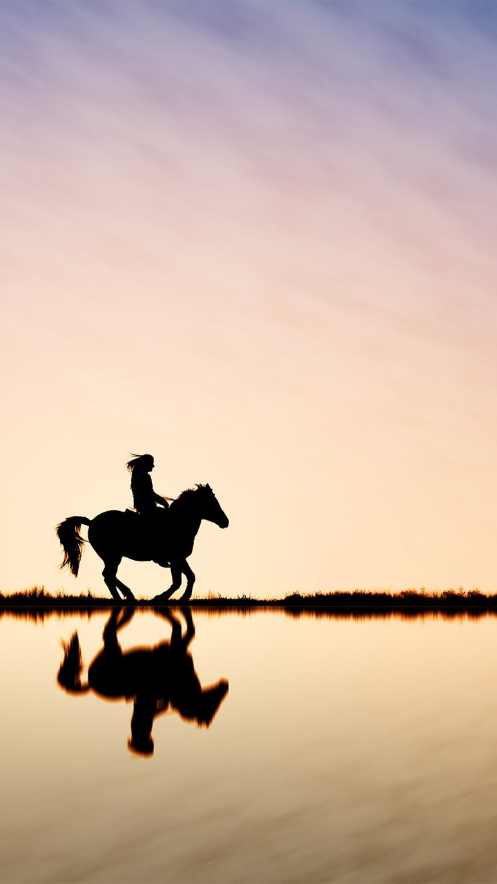 Horse riding on the beach