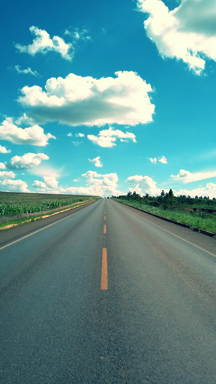 Road BR-010