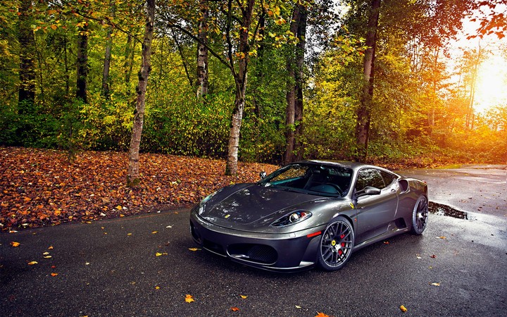 Autumn drive
