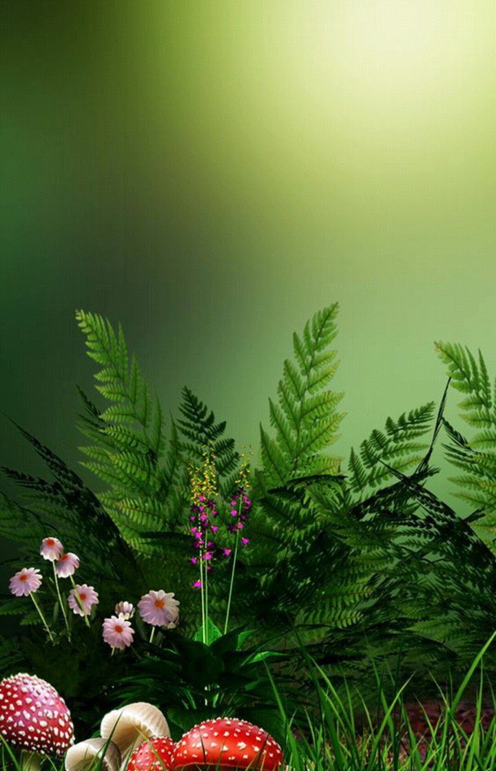 nature