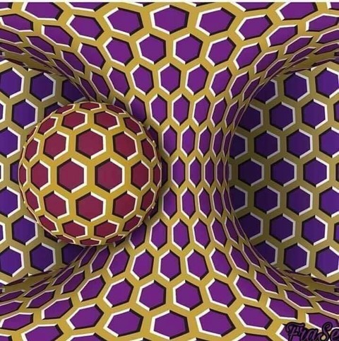 It Moves!