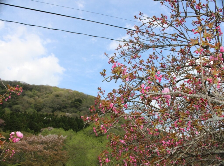 Yuhuin