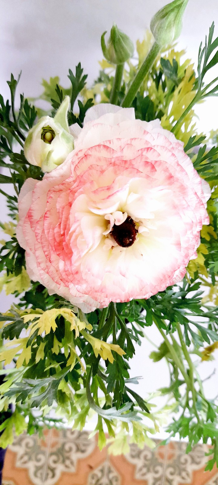 White ranunculus