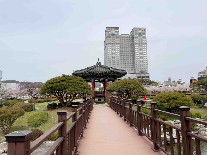 대한민국 ❤️