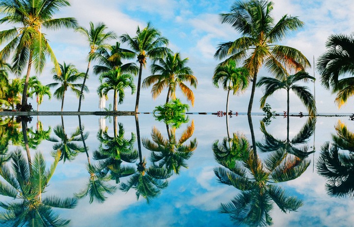 Coconuts