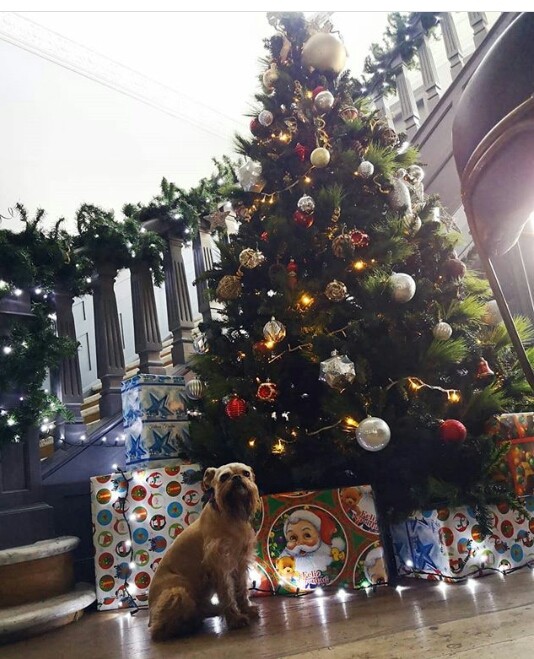 espiritu navideño