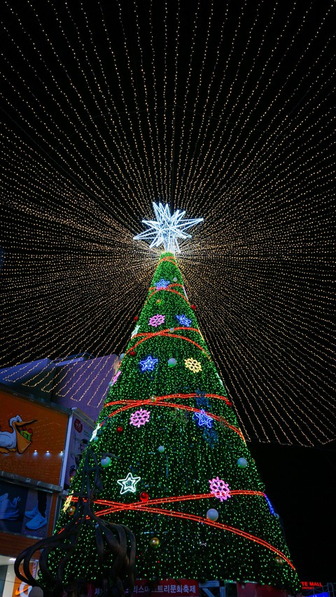 merry Christmas
