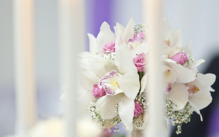 blossom