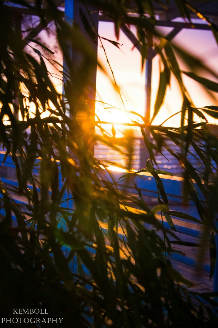 Summer dream