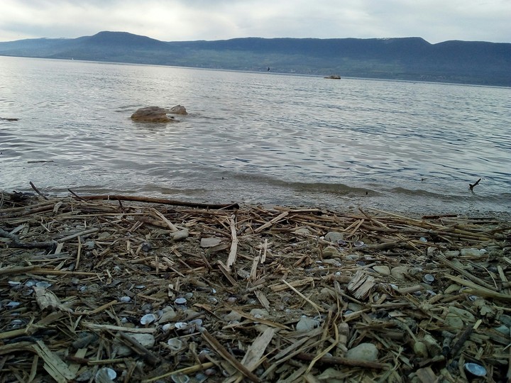 douce  nature