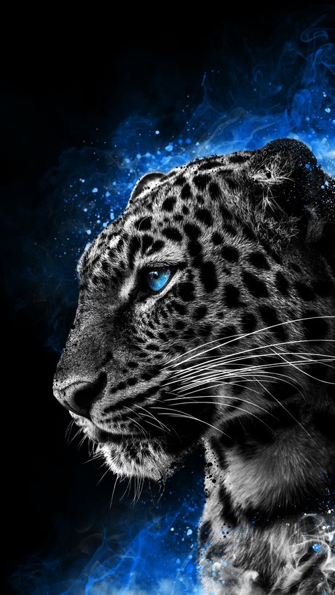 خلفيات graphics, felidae