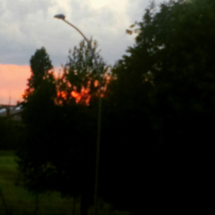 #tramonto tra gli alberi!