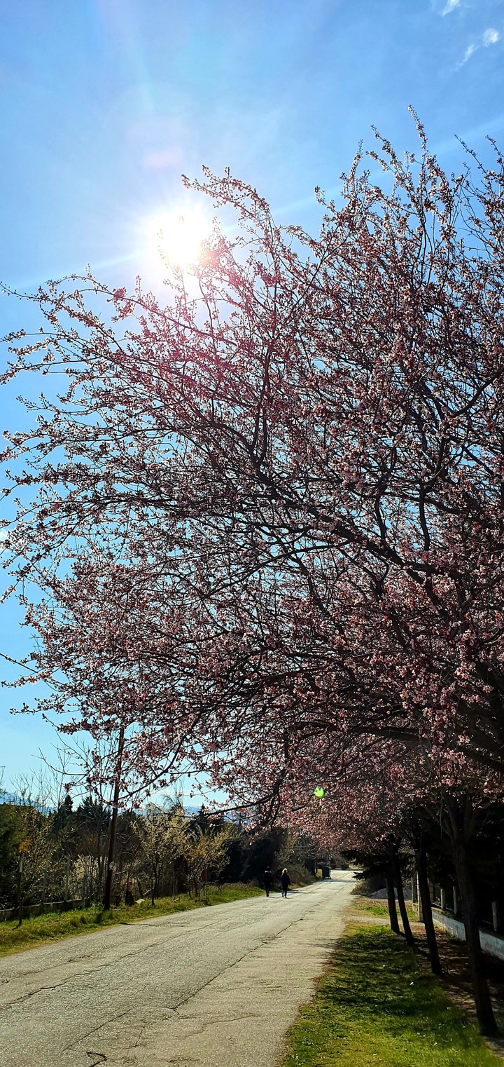 Spring time