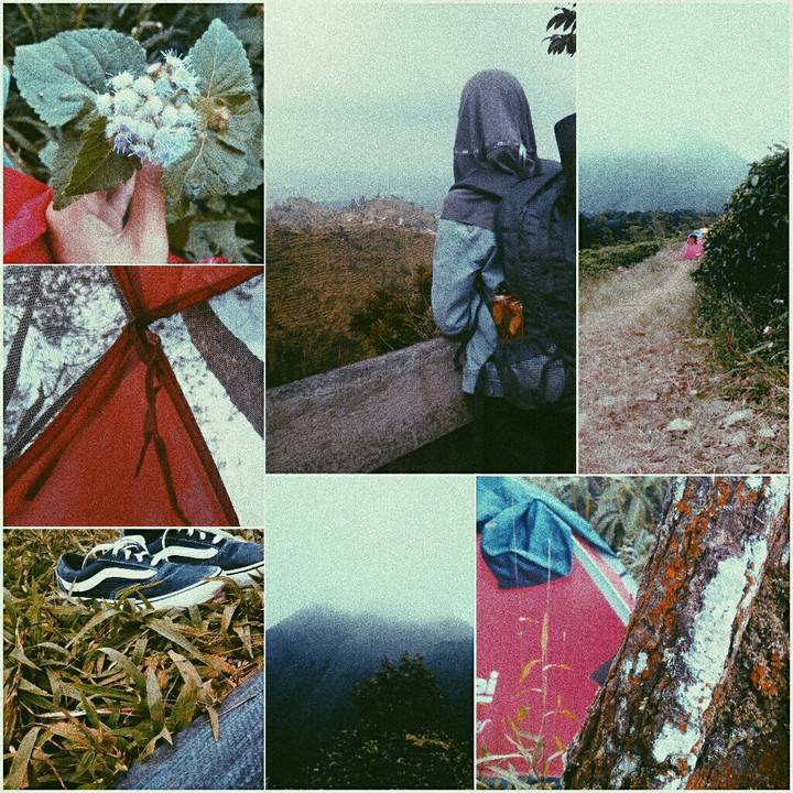 my story
