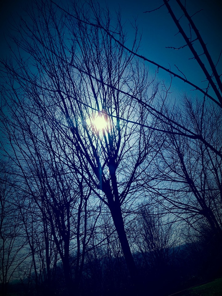 the sun