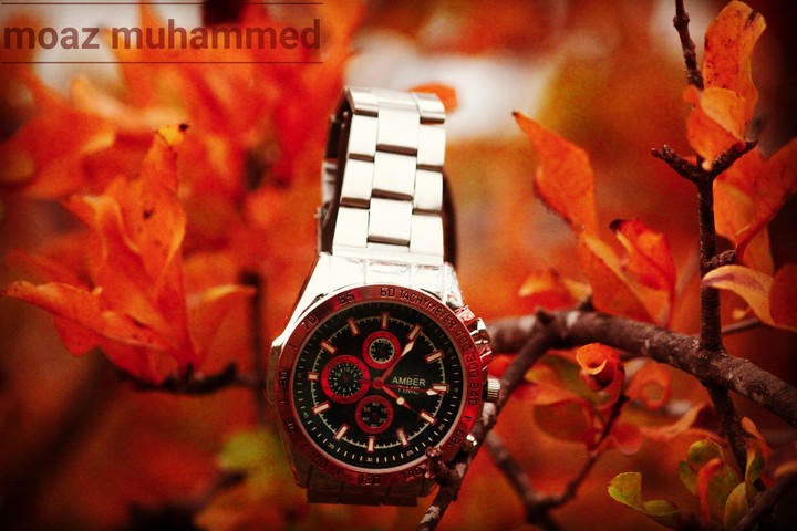 The autumn