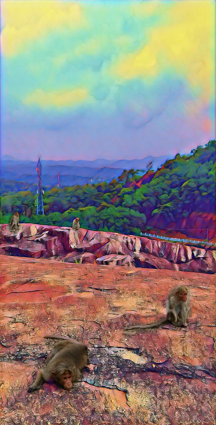 Monkey clan 2