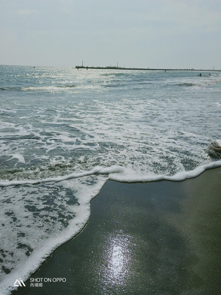 海的聲音