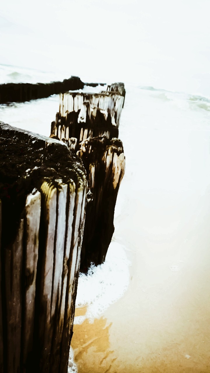 sea