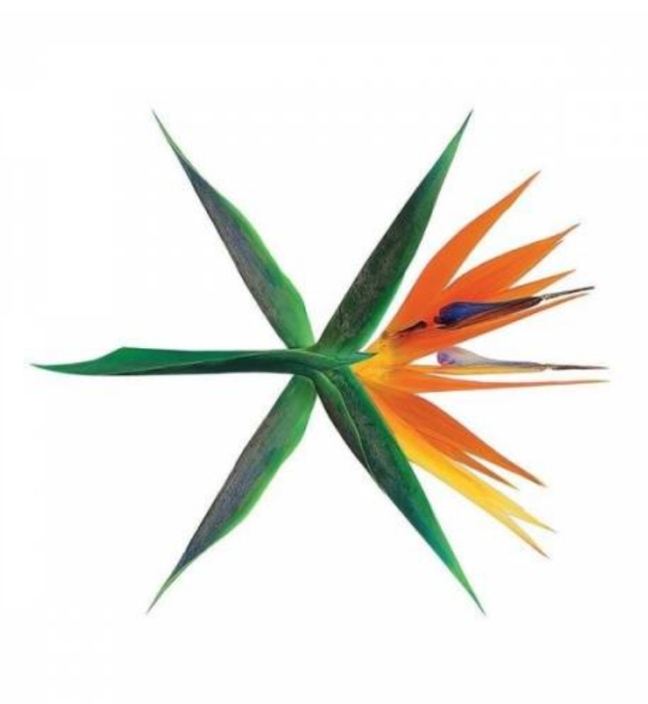 New logo