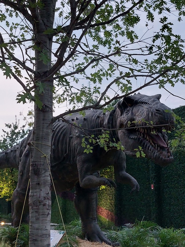 walking with dinosaurs point valley Monterrey Nuevo Leon Mex