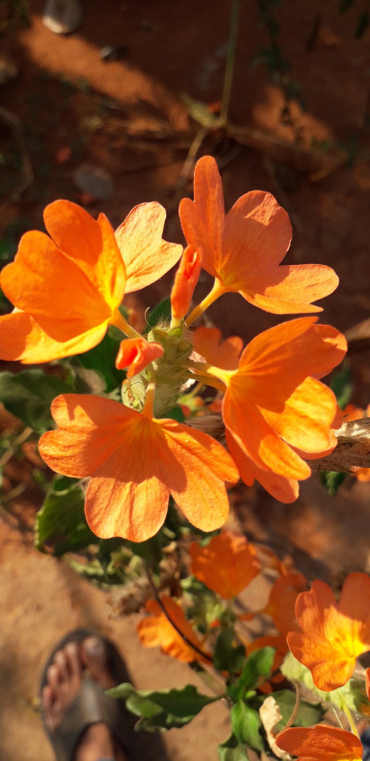 my click....?