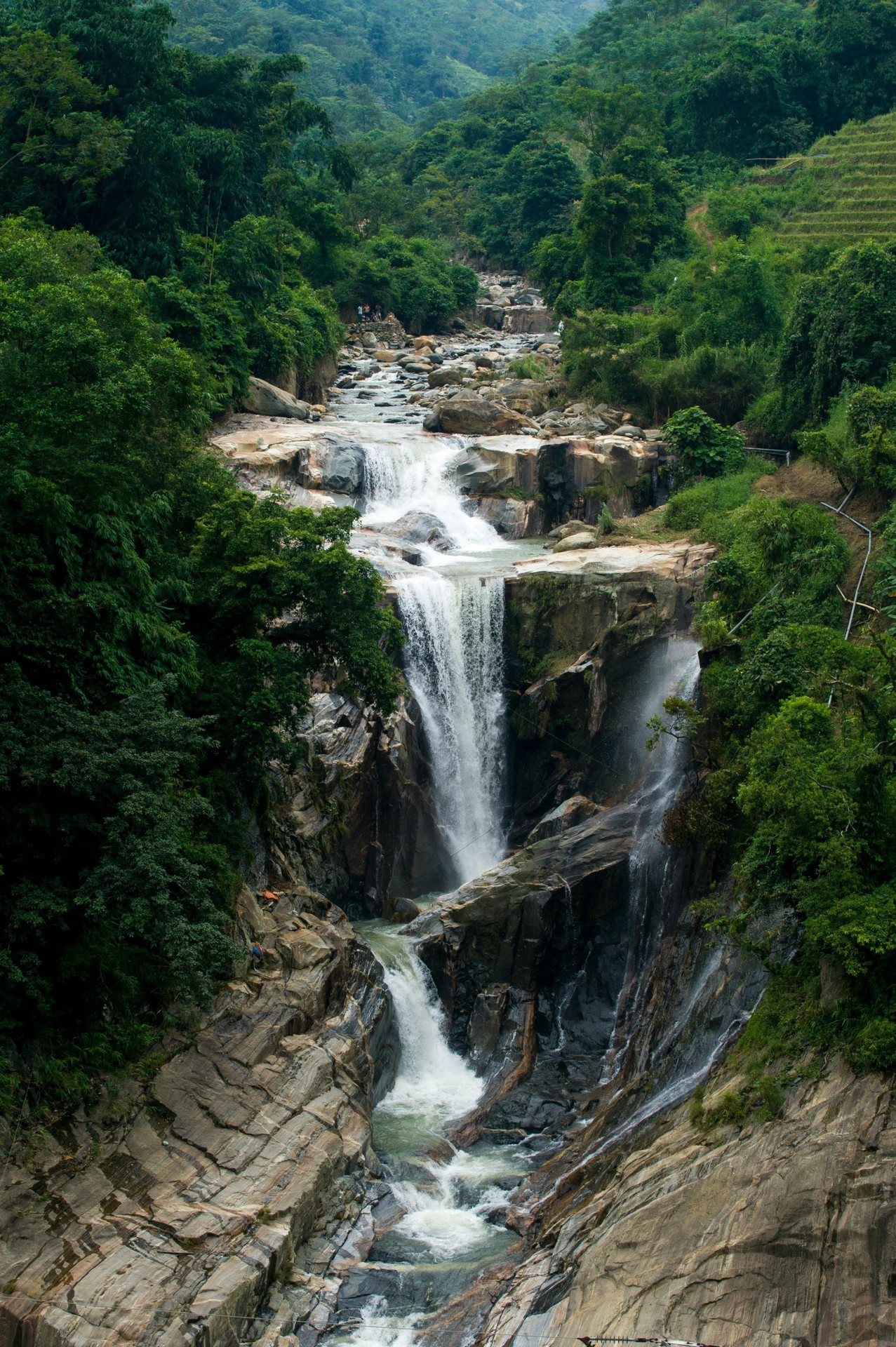 hình nền vegetation, watercourse
