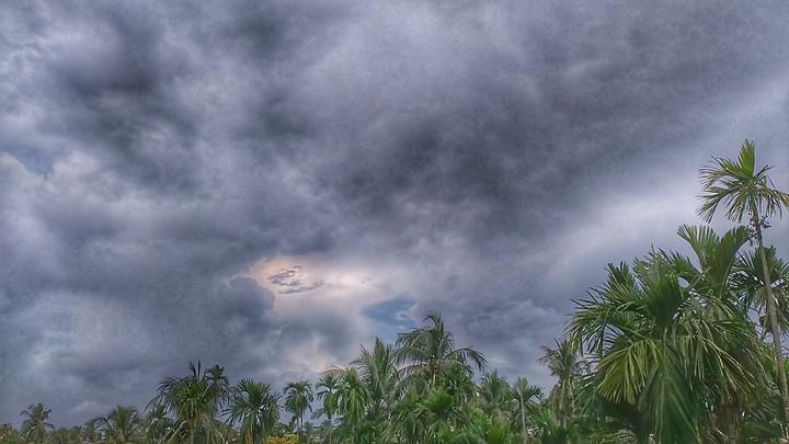 Dark Sky