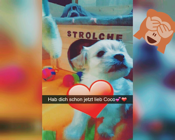 Coco