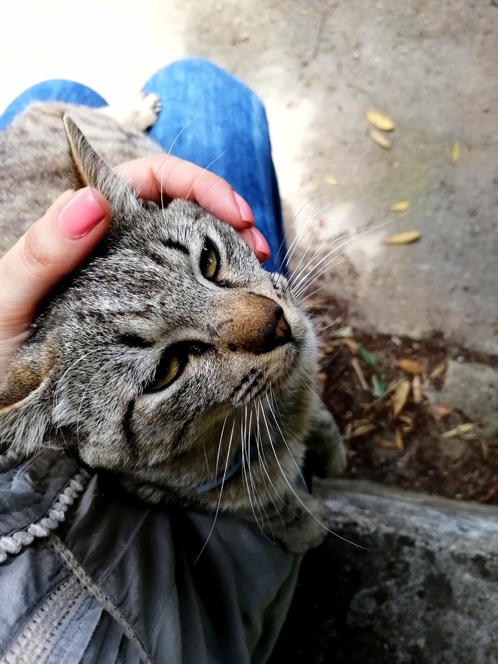 #Taby
