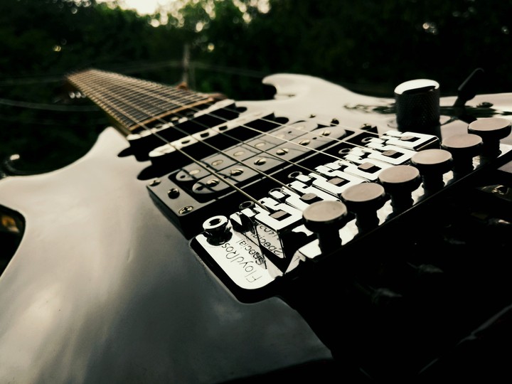 Electric Guitar - ESP LTD MH 53