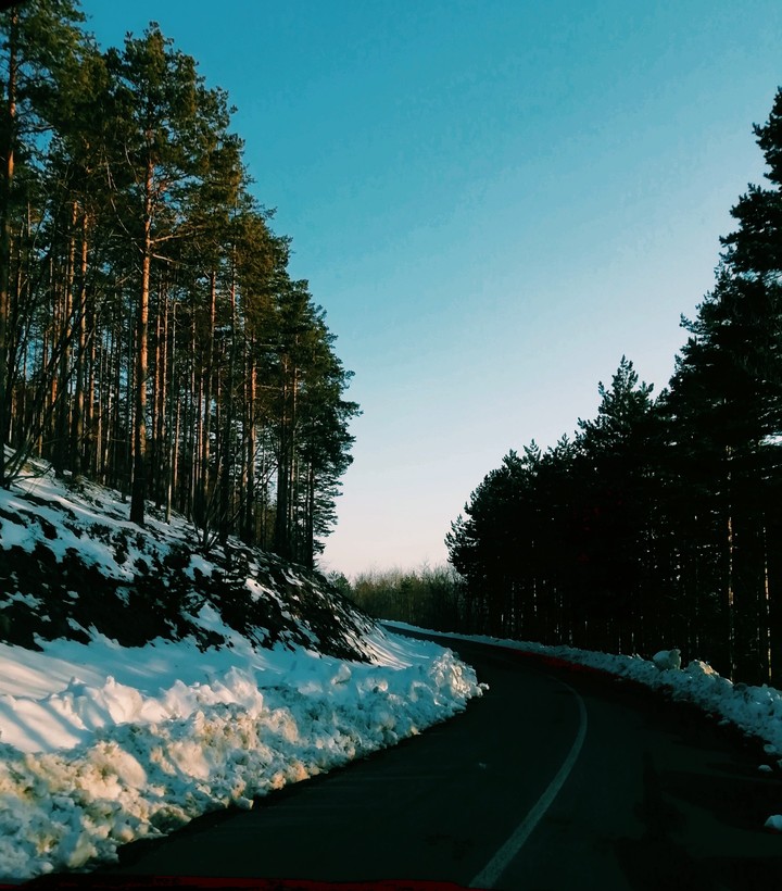Дорога домой