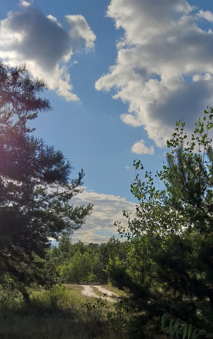 Sunny day