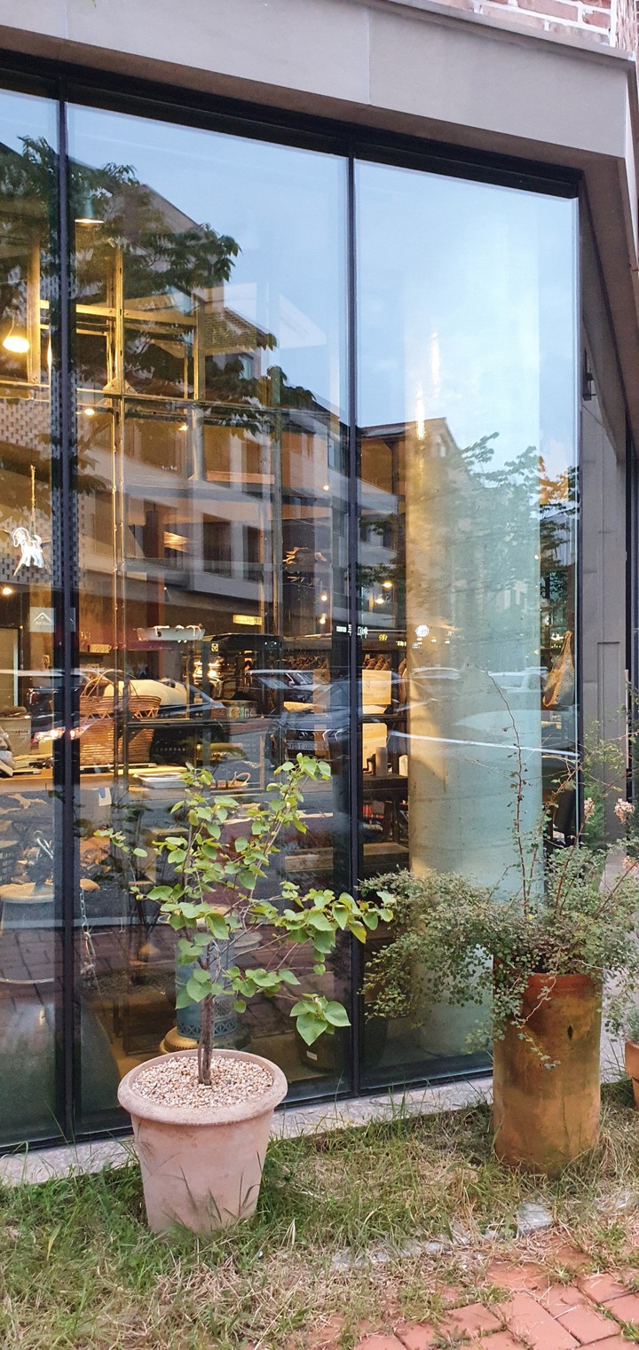 Show window