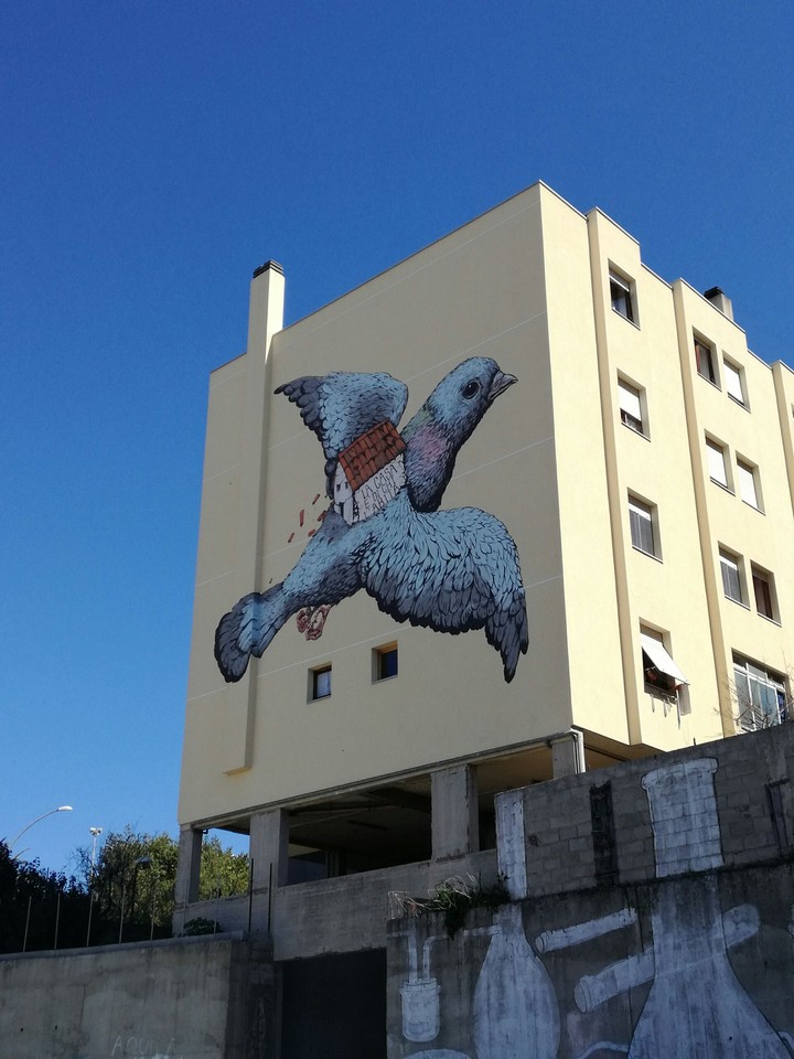 Murales Piccione Viaggiatore
