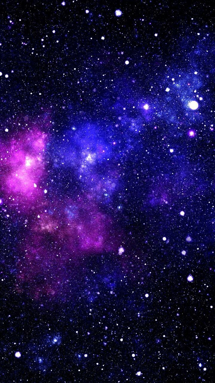 cosmos