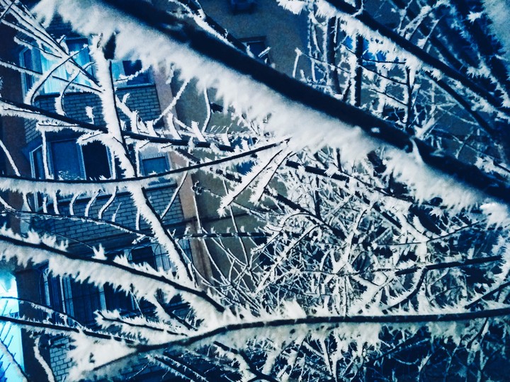 winter